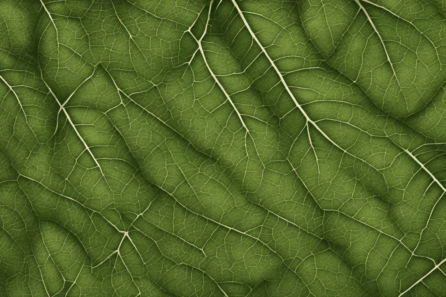 Nature-Inspired Leaf Pattern – Website Background