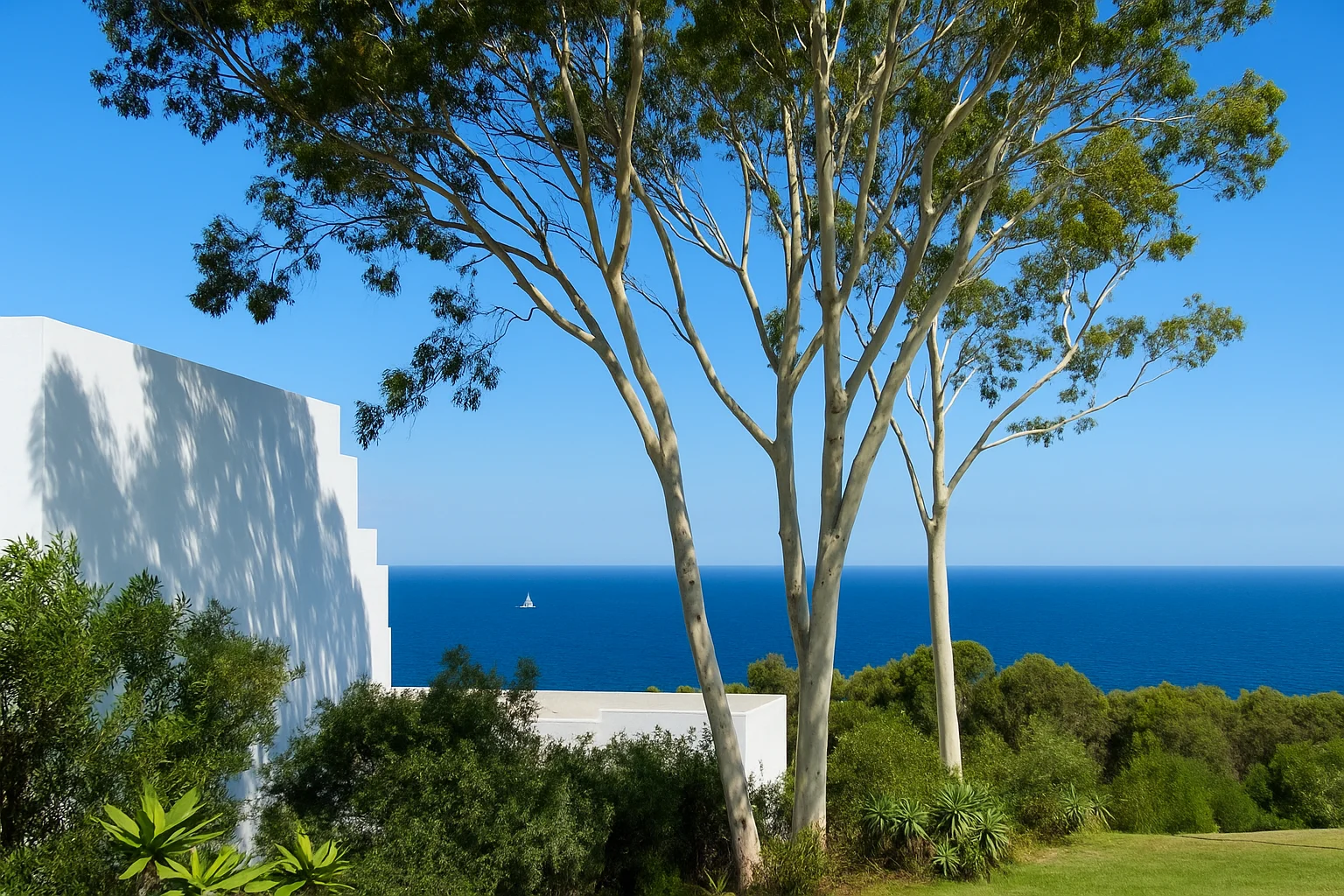 Mediterranean Coastal View with Trees and Blue Sea