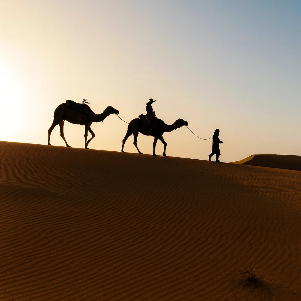 Silhouette of a Camel Caravan in the Desert at Sunset